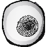 Eye v2