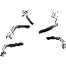 Arms