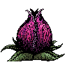 Strange Plant