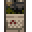 White Calendar equipment icon