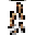 Scattered Bones equipment icon